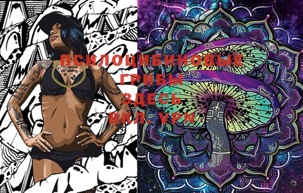 MESCALINE Аркадак